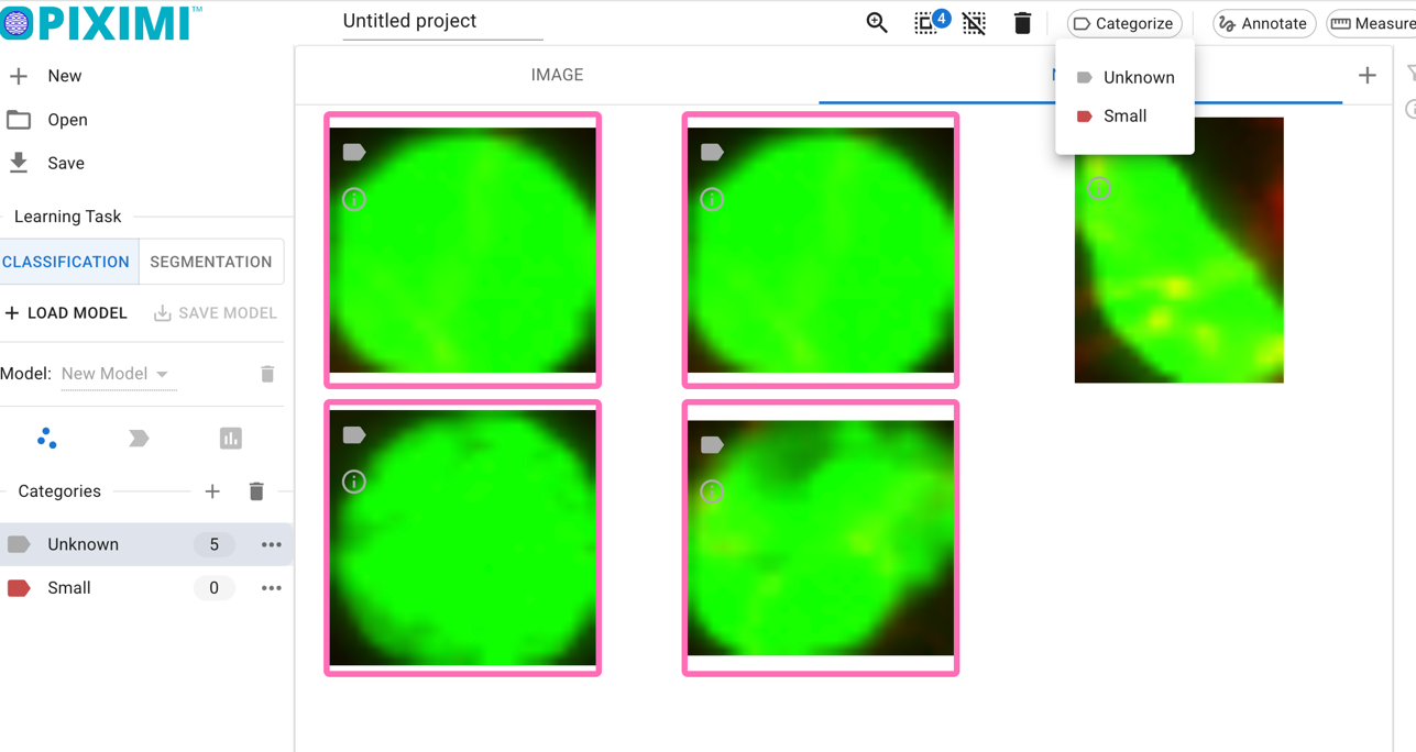 See categories in Piximi Experiment View