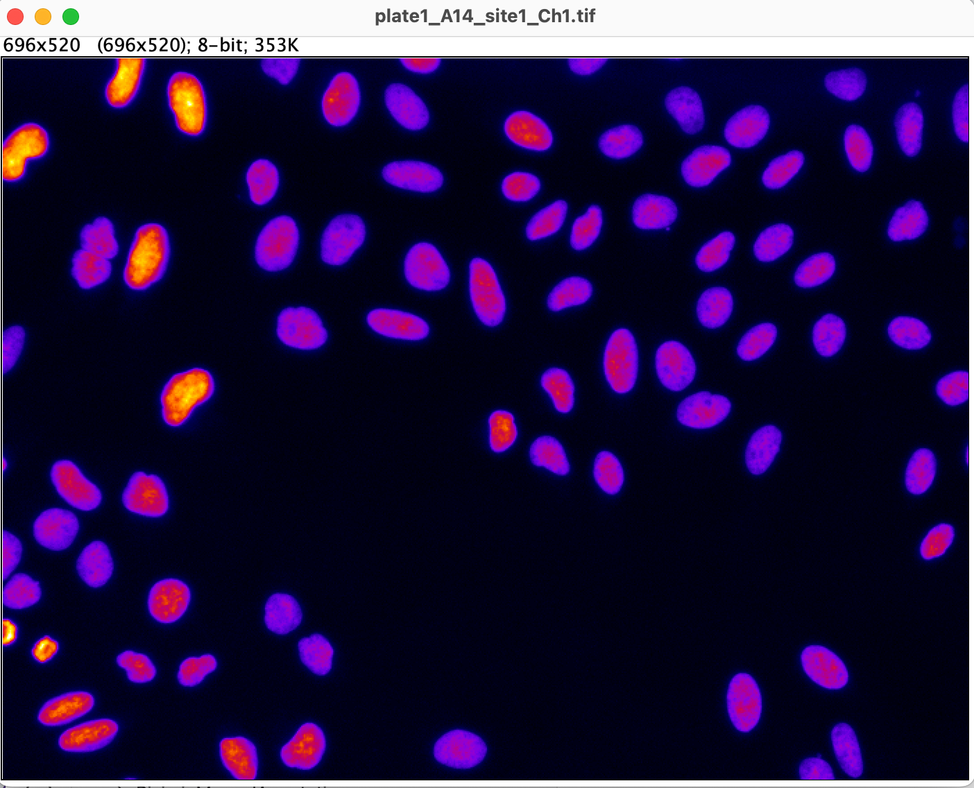 Image with Adjusted LUT