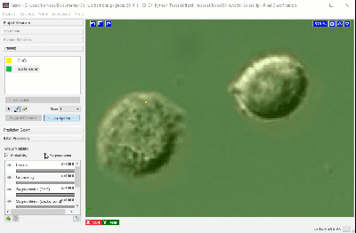 ../_images/labeling.gif