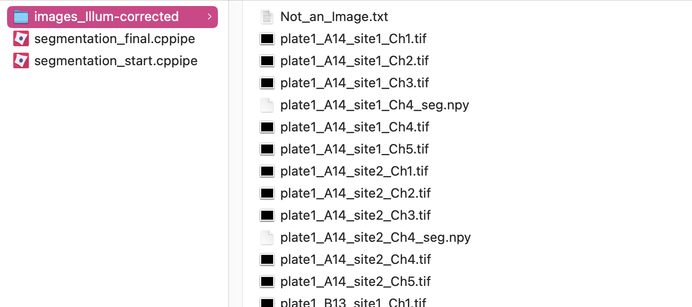 _seg.npy files