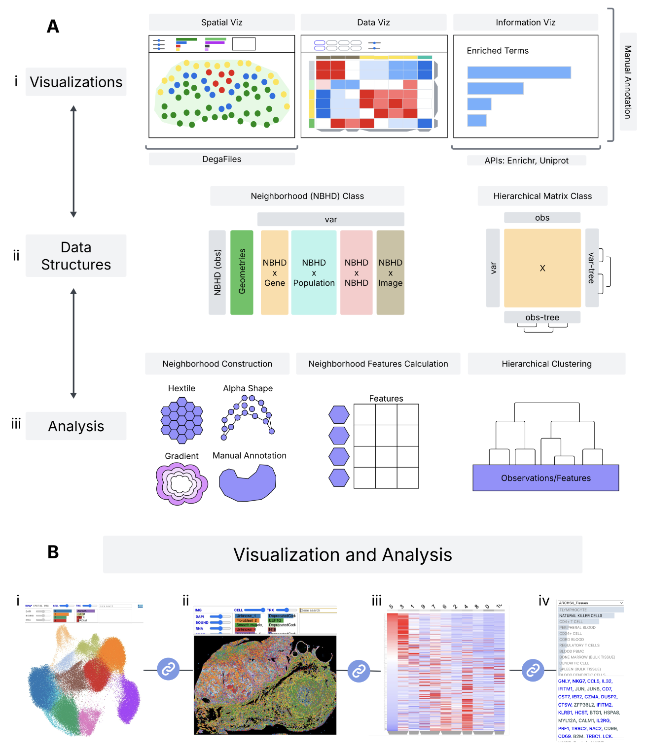 Figure 1 from the Celldega preprint