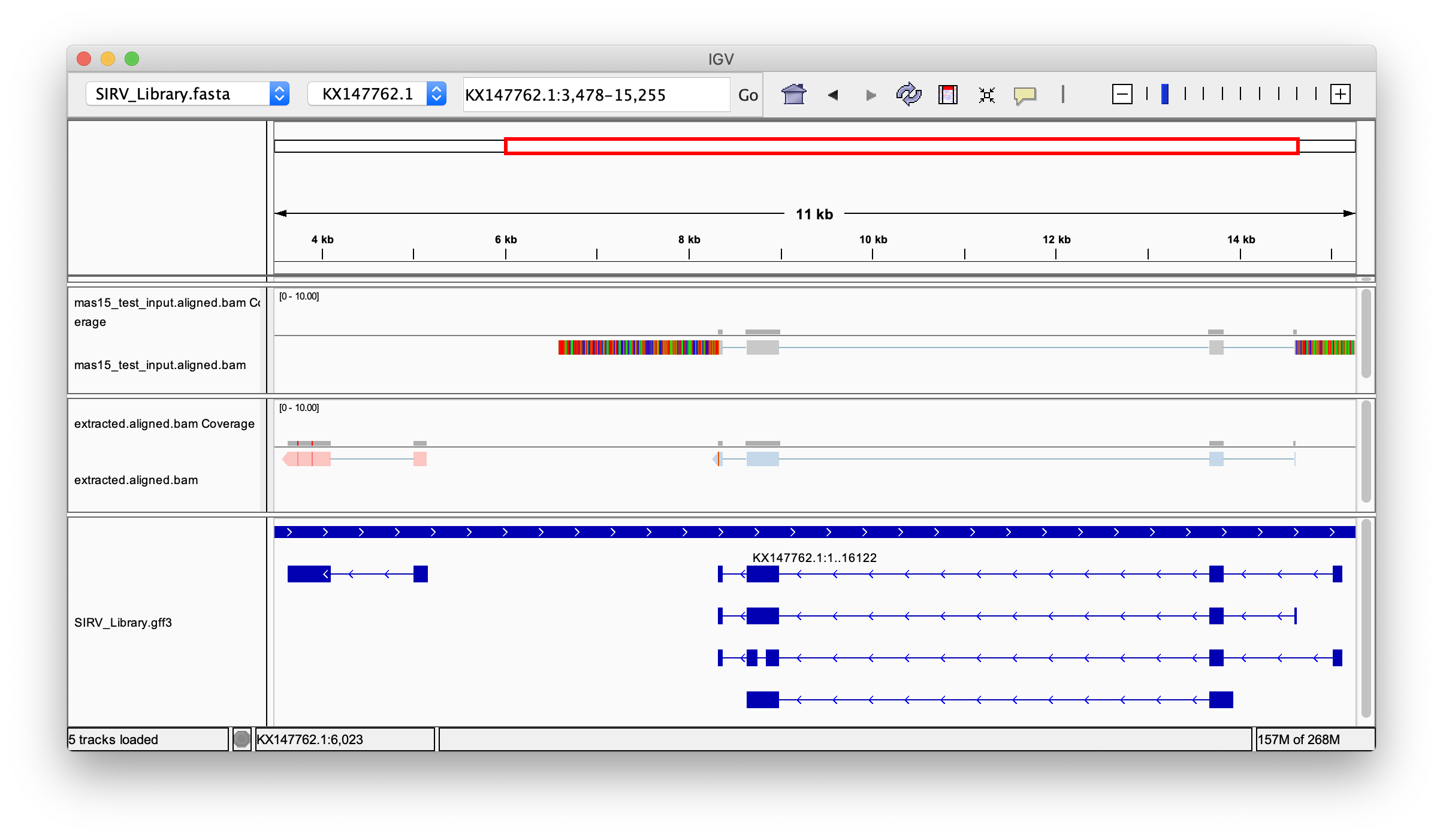 IGV screenshot for two SIRV isoforms