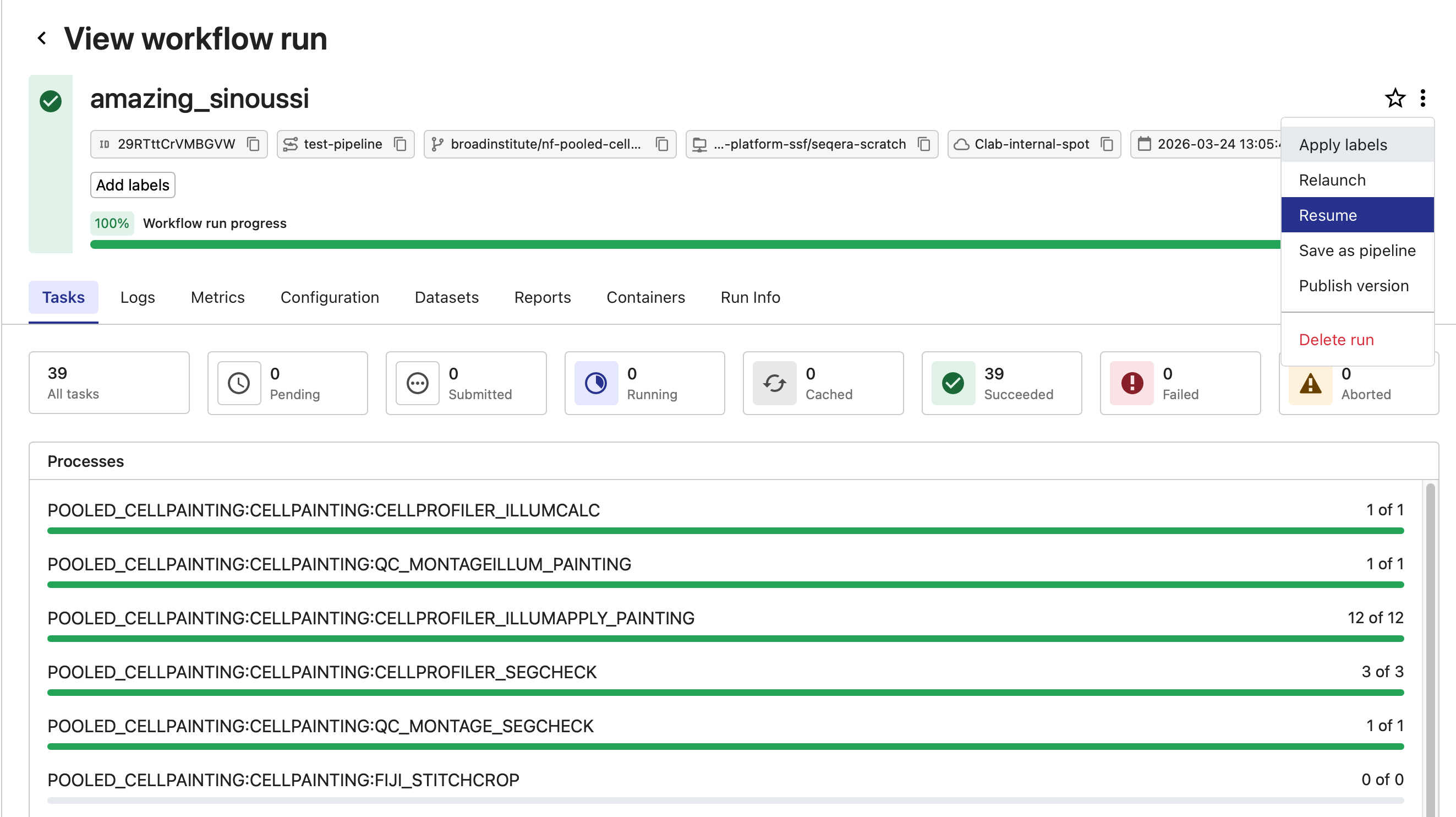 resume workflow run