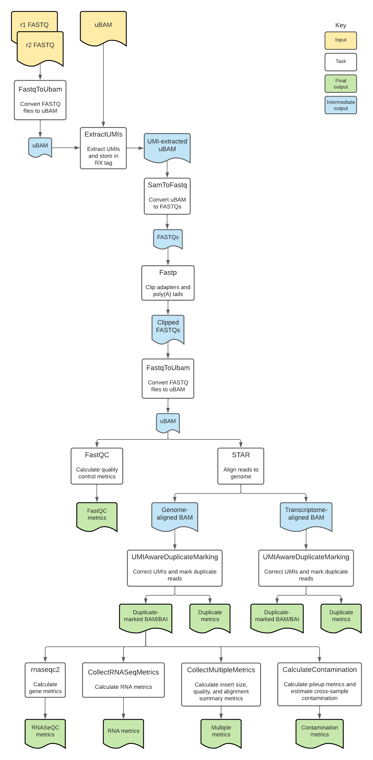RNAWithUMIs_diagram
