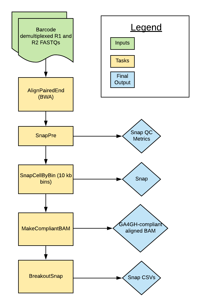 scATAC_diagram